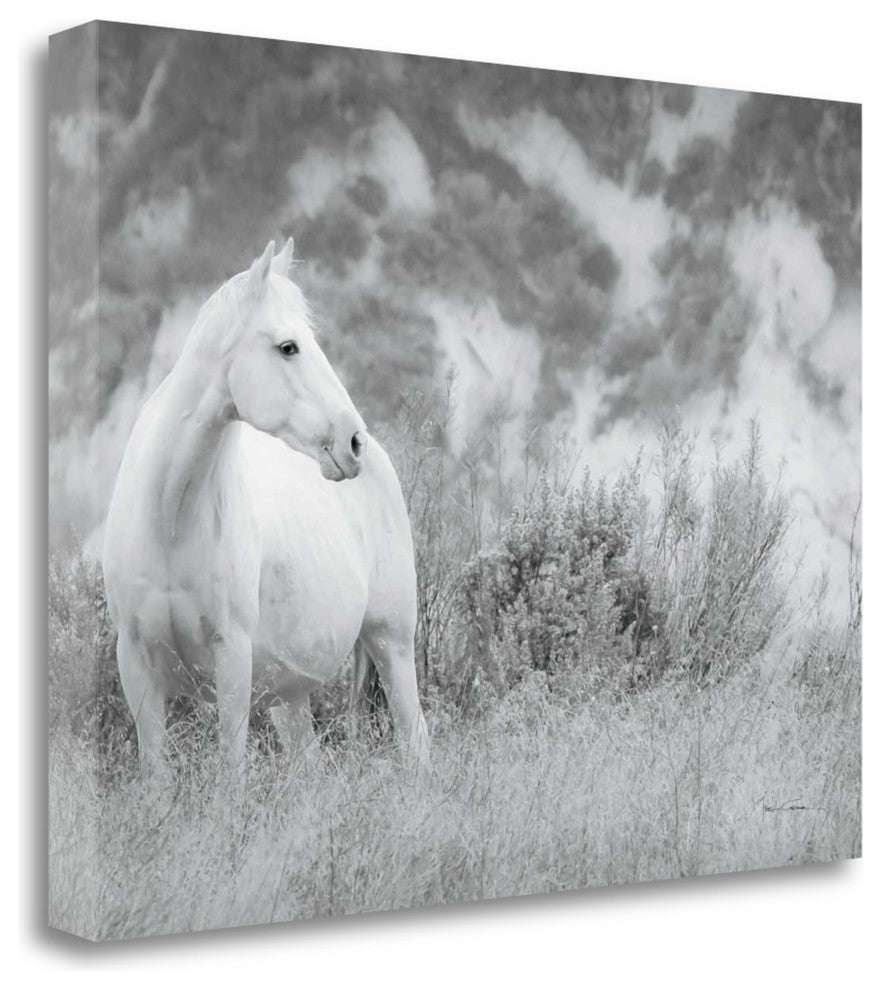 "Misty Mare" By Lisa Cueman, Giclee Print on Gallery Wrap Canvas, Ready to Hang