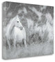 "Misty Mare" By Lisa Cueman, Giclee Print on Gallery Wrap Canvas, Ready to Hang