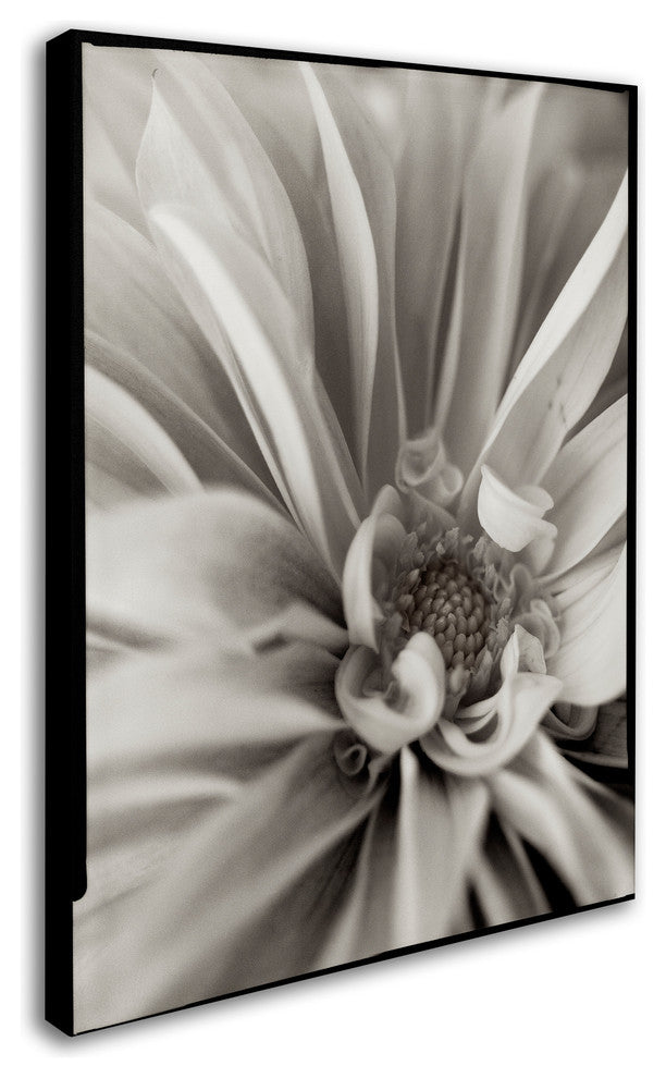 Alan Blaustein ''Florison 21'' Canvas Art, 24x32