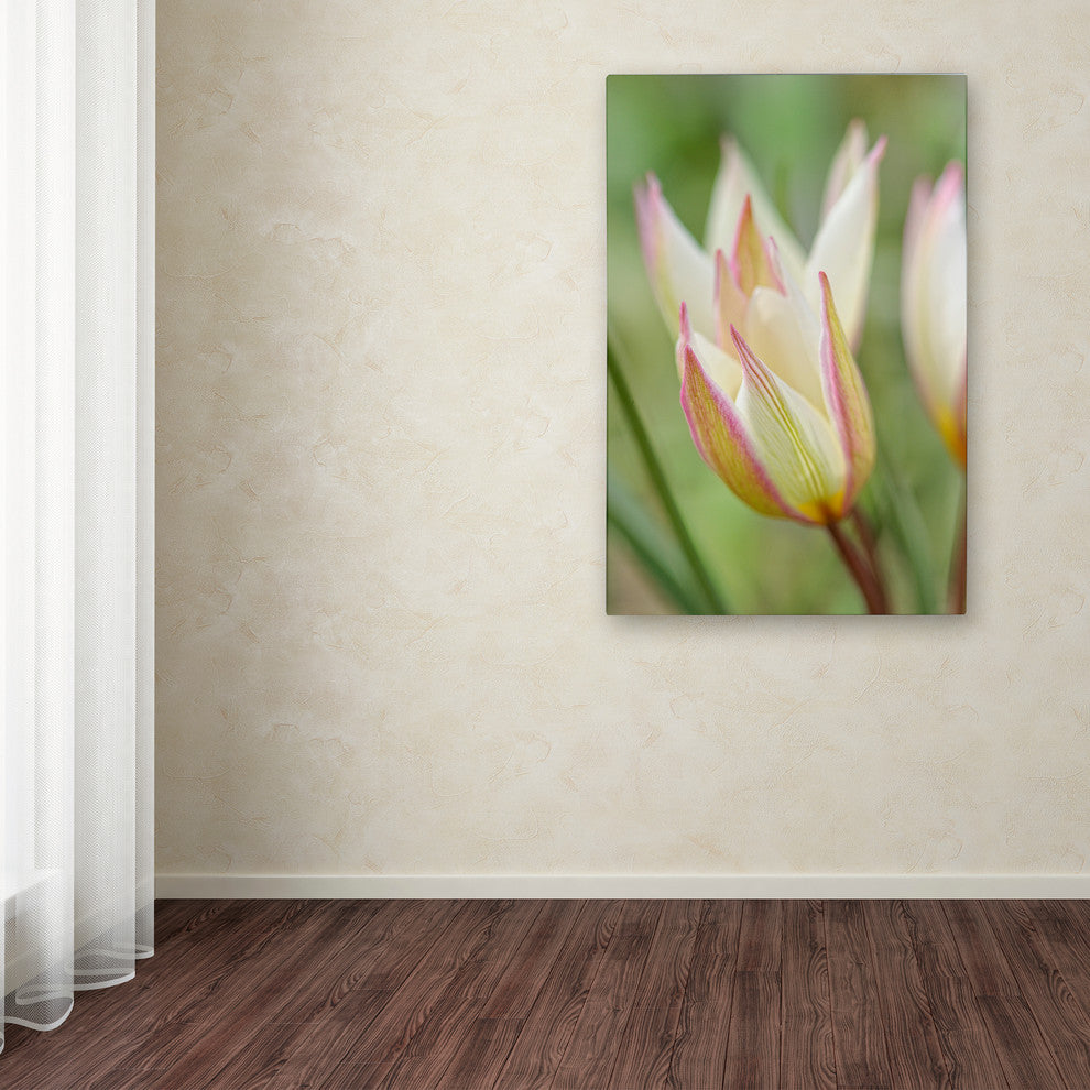 Cora Niele ''Tulip Primulina'' Canvas Art