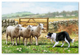 The Macneil Studio 'Sheepdog With Sheep' Canvas Art, 32"x22"