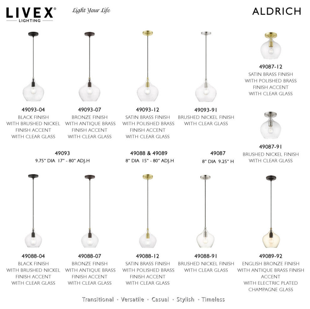 Aldrich 1 Light Black With Brushed Nickel Accent Pendant