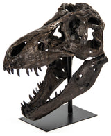 Dinosaur Skull Statue