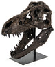 Dinosaur Skull Statue