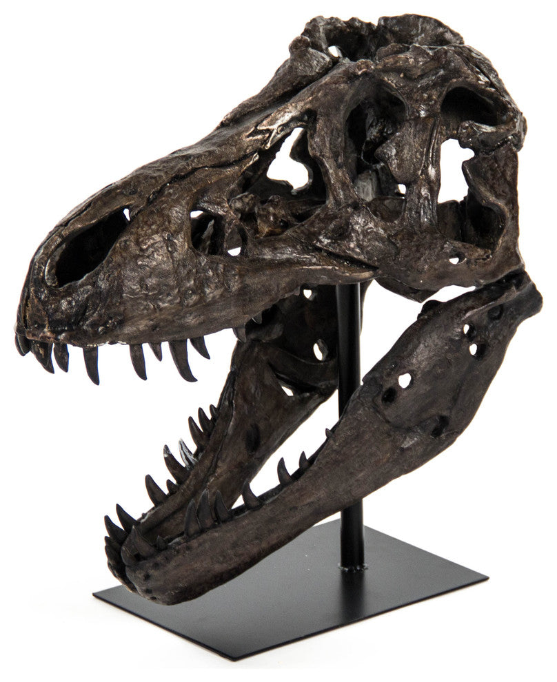 Dinosaur Skull Statue