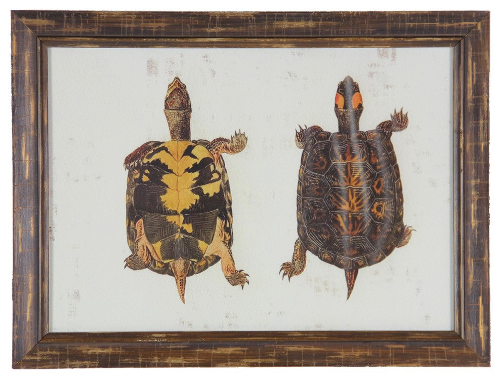 Pair Of Turtles Print, Distressed Brown Frame