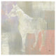 "Dusk Pony" Digital Paper Print by Studio Mousseau, 20"x20"