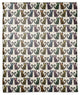 Skeleton Cat Pattern 50 x 60 Coral Fleece Blanket