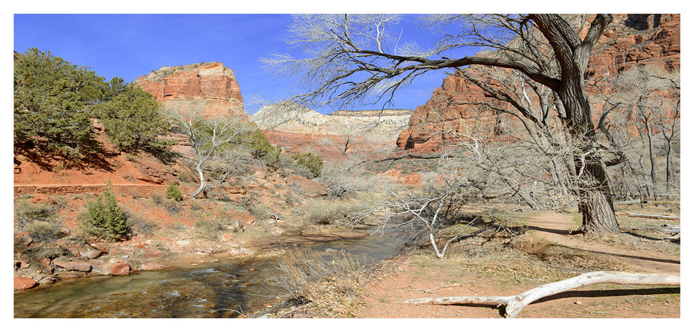 Red Rock Mountain in Zion Park, Landscape Canvas Art Print, 60"x28"