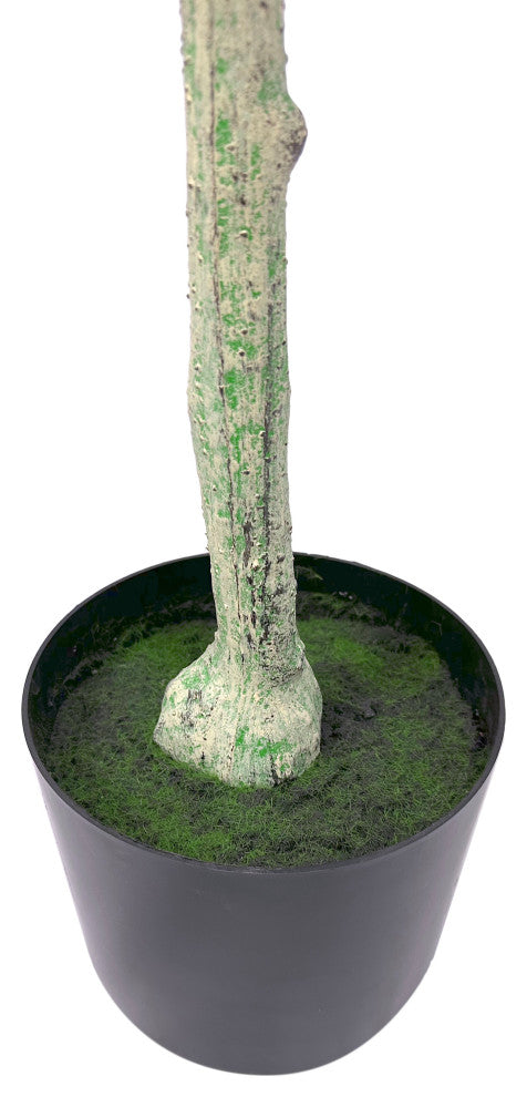 Taos 4' x 1.5' Artificial Olive Tree, 23 W X 23 D X 59 H