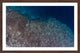 "On the Blue Edge" Framed Painting Print, 24"x16"