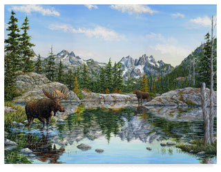 Jeff Tift 'Moose' Canvas Art, 32"x24"