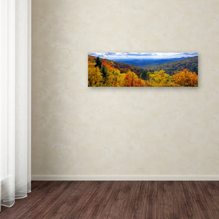 Doug Cavanah 'Autumn Forest' Canvas Art, 6x19