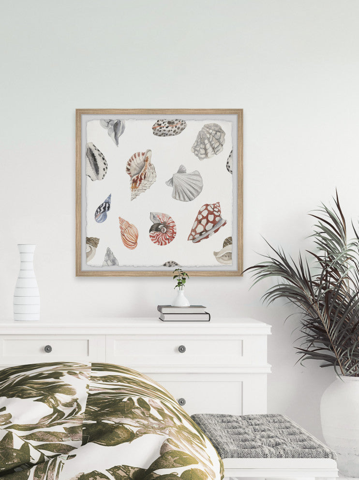 "Classic Seashells" Framed Painting Print, 12x12