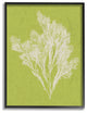 Coral Seaweed Green White Beach Design, 24"x30", Black Frame