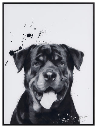 "Rottweiler" Black and White Pet Art on Printed Glass with Anodized Frame