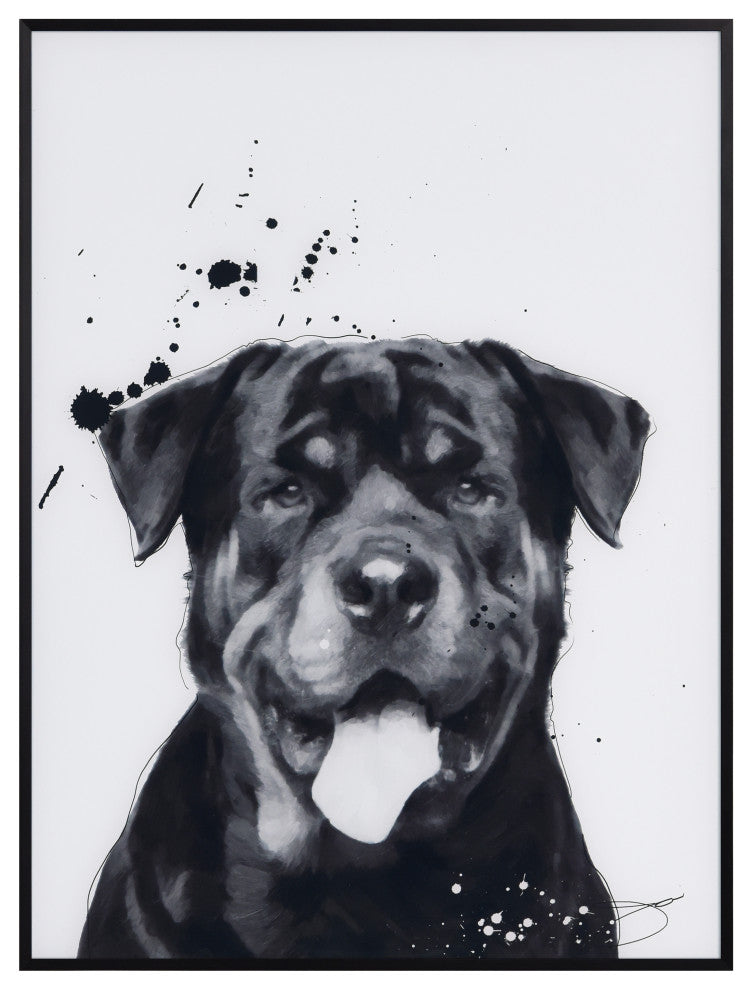 "Rottweiler" Black and White Pet Art on Printed Glass with Anodized Frame