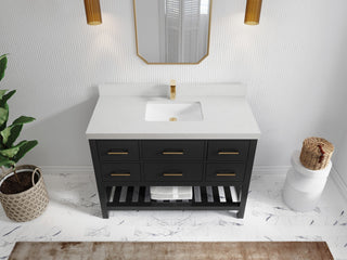 Parker 48" Single Sink Bath Vanity, Black 2" Carrara Quartz