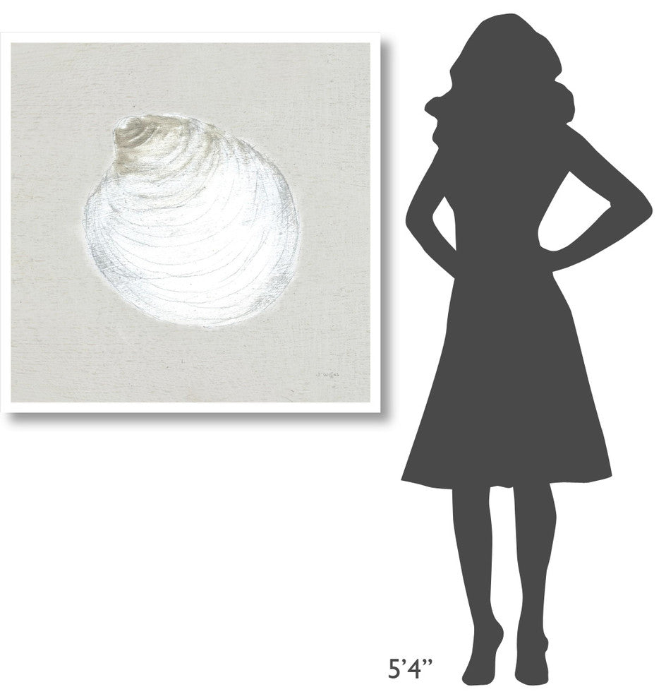 "Serene Shells II Tan" Digital Paper Print by James Wiens, 38"x38"