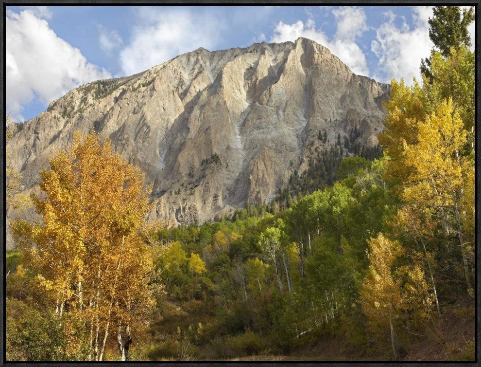 "Marcellina Mountain near Crested Butte, Colorado"  by Tim Fitzharris, 33x25"