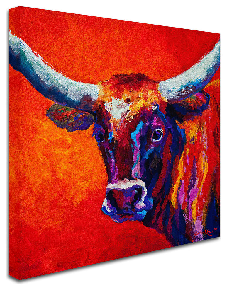 Marion Rose 'Steer' Canvas Art, 24" x 24"
