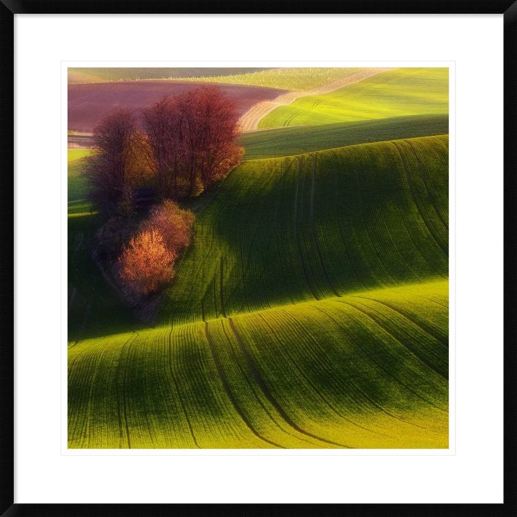 "Green Fields" Framed Digital Print by Piotr (Bax) Krol, 30x30"
