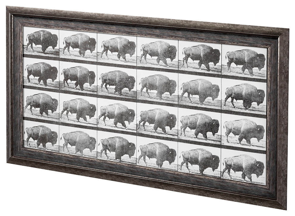 Buffalo Walking Photographic Negative
