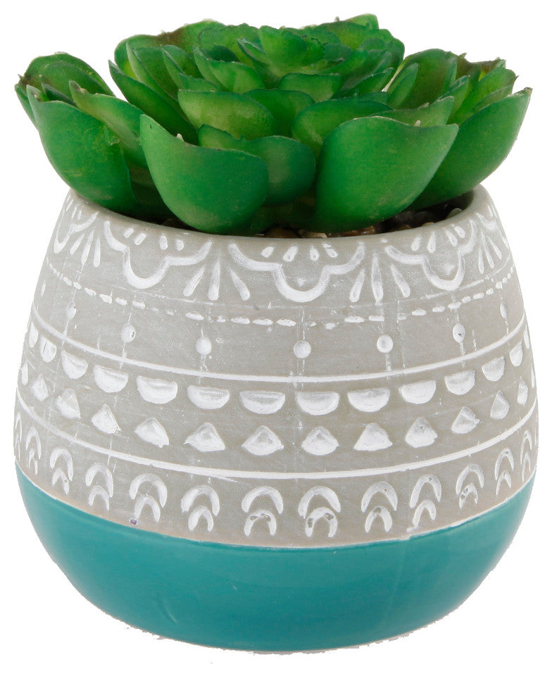 Succulent In 2 Tone Mayan Ceramic Pot,Teal