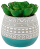Succulent In 2 Tone Mayan Ceramic Pot,Teal