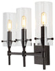 Cato 21.25" 3-Light Modern Farmhouse Iron/Glass Vanity, Oil Rubbed Bronze/Clear