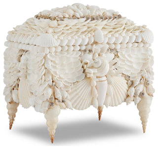 Boardwalk White Shell Jewelry Box