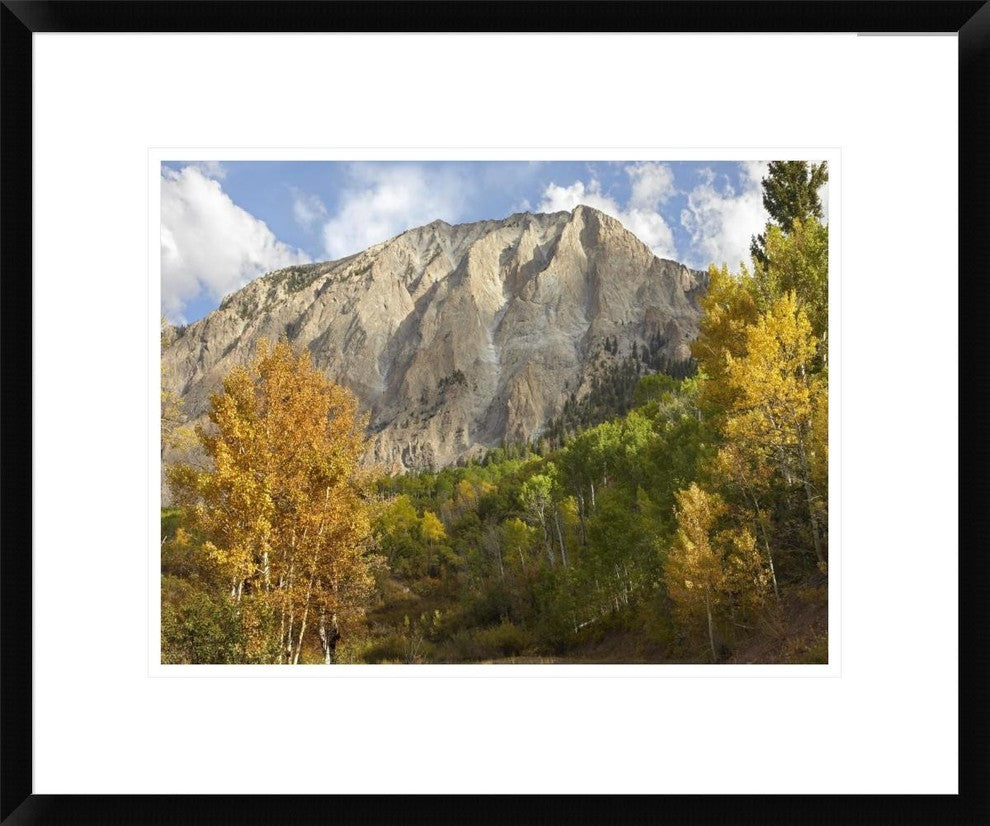 "Marcellina Mountain near Crested Butte, Colorado"  by Tim Fitzharris, 24x20"