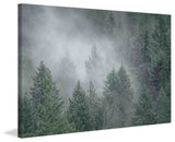 "Draped in Clouds" Painting Print on Canvas