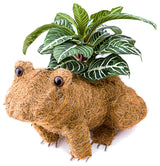 Animal Coco Planters, Frog
