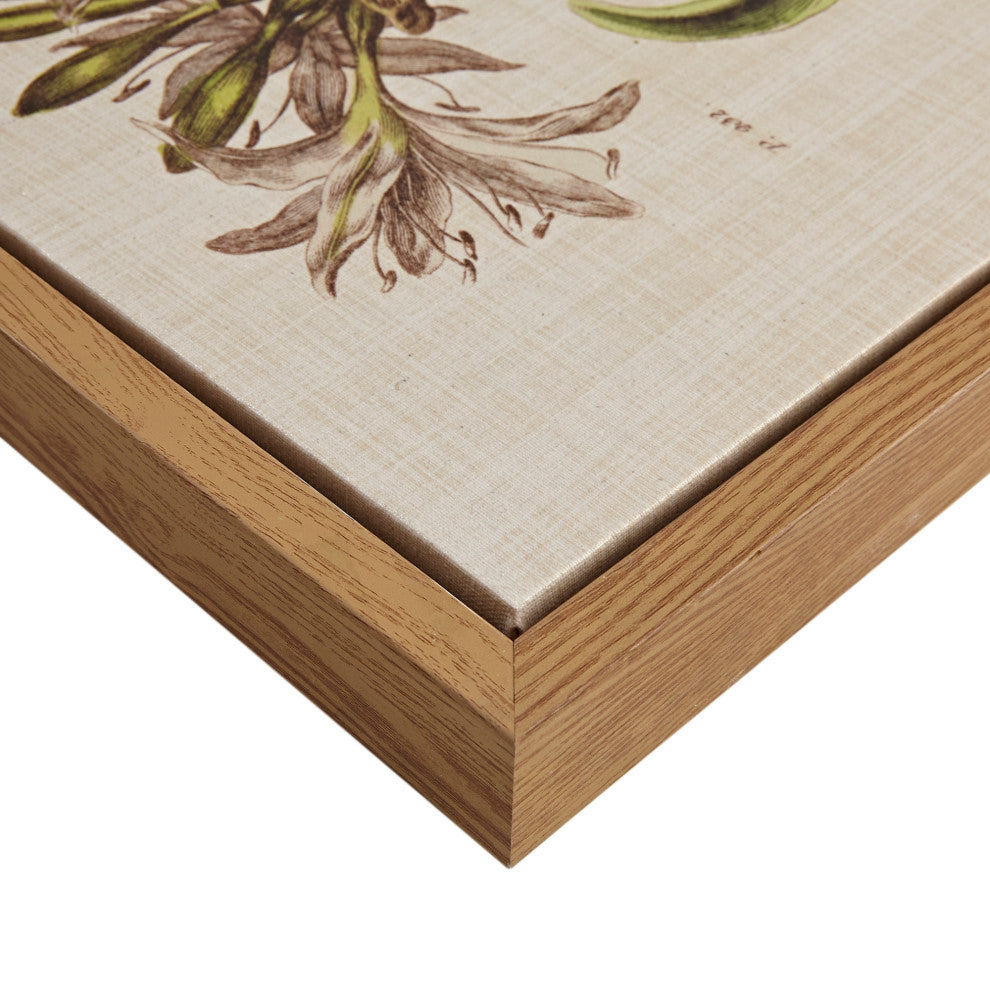 Madison Park Herbal Botany Framed Linen Canvas 4 Piece Set