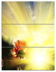 Flower Against Bright Yellow Sunset, Floral Triptych Canvas Art, 28x36, 3 Panels