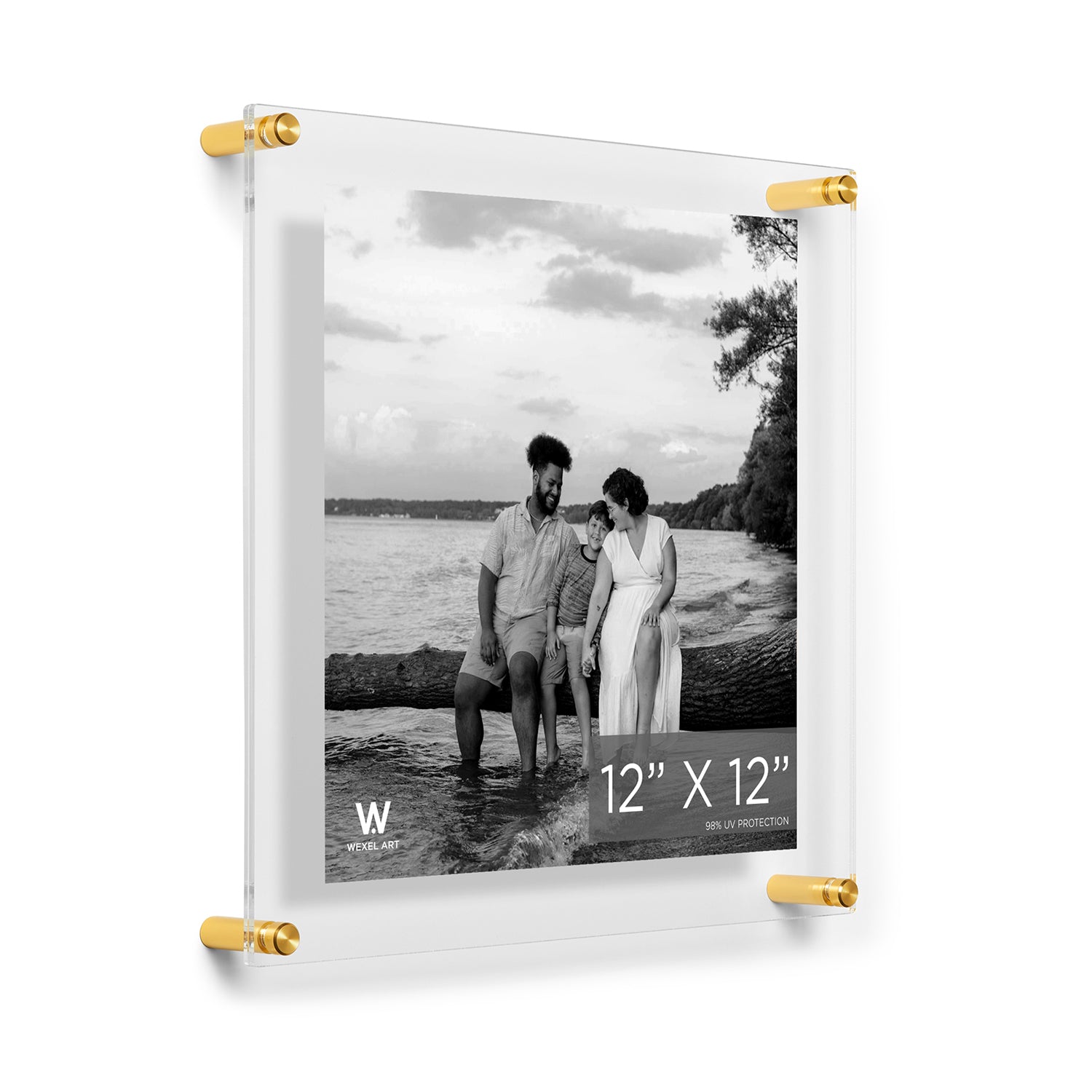 15"x15" Double Panel Acrylic Wall Frame For 12"x12" Art, Gold Hardware