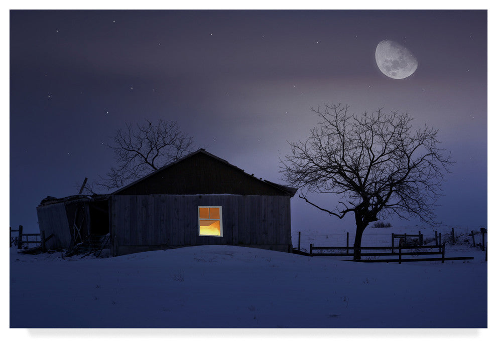 "Winter Night" by Ata Alishahi, Canvas Art, 12"x19"