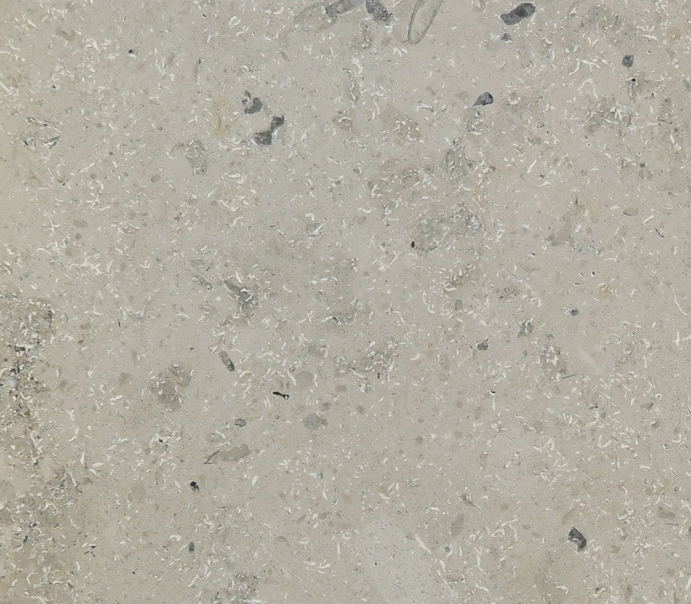 Jura Gray Limestone Tiles, Honed Finish, 4"x4" Sample