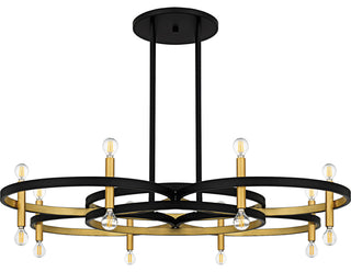 Quoizel WID5050 Winsland 16 Light 50"W Abstract Chandelier - Matte Black