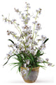 Dancing Lady Silk Orchid Arrangement, White