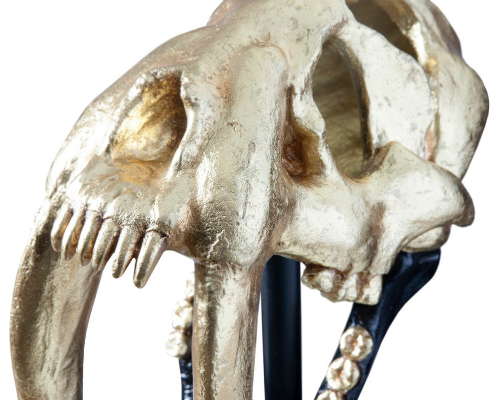 Saber Tooth Tiger Skull, Black, Gold Leaf