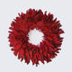 14" Feather Wreath W/Glitter Tips Burg