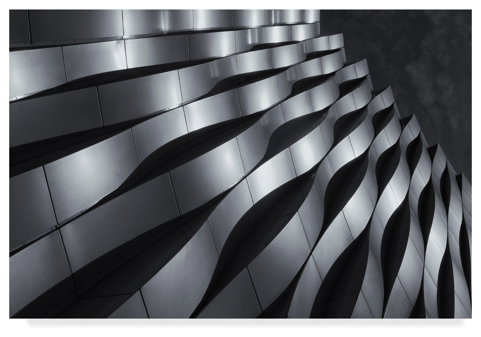 Jeroen Van De 'Waving Silver' Canvas Art, 47"x30"