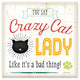 Crazy Cat Lady Typography Graphic Art Wall Plaque