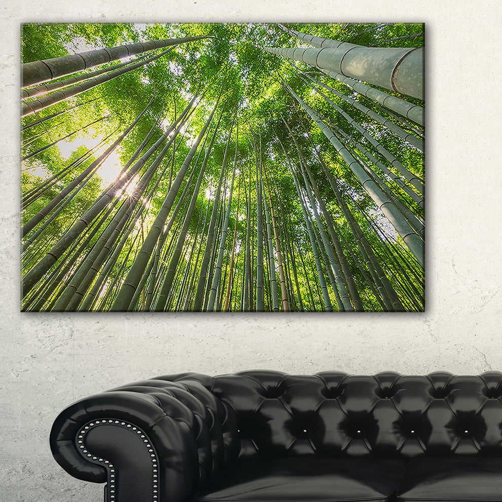 "Peaks of Bamboo in Kyoto Forest" Oversized Forest Wall Art, 32"x16"