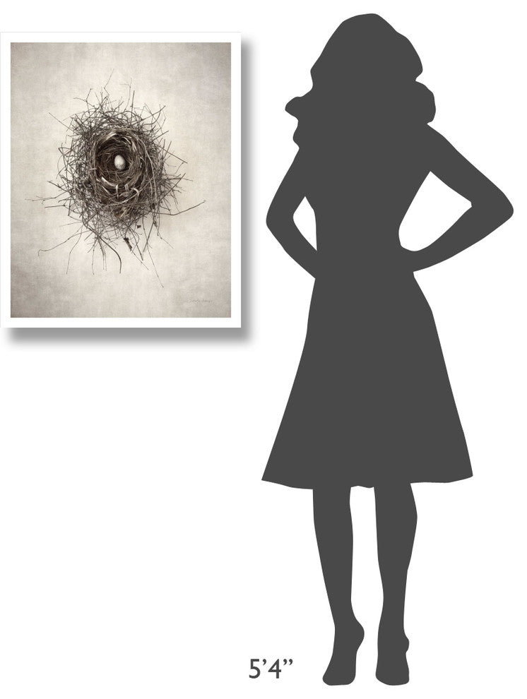 "Nest I" Digital Paper Print by Debra Van Swearingen, 24"x30"