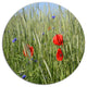 Rural Landscape With Red Poppies, Landscape Wall Round Wall Art, 23"