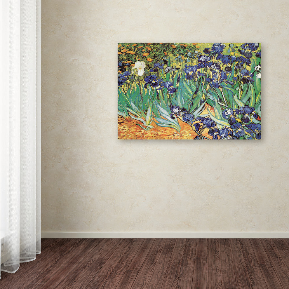 Vincent van Gogh 'Iris Garden' Canvas Art, 32 x 22