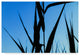 "Shapes Black On Blue" by Anthony Paladino, Canvas Art